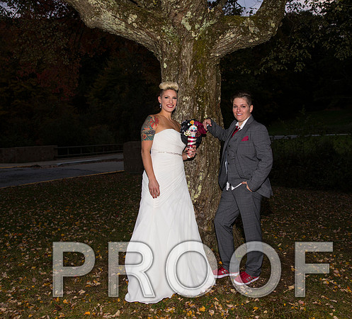 8L2A3561 aaa Wedding Photos - the bride and groom along with the bridal party