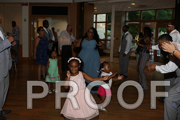 IF6A2773 / The Wedding Reception - Let the Party start