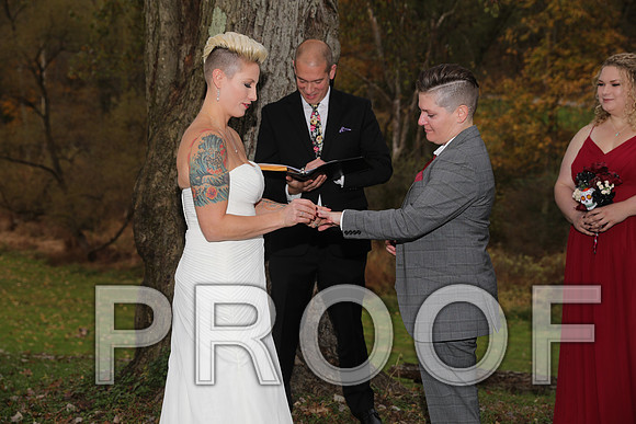 8L2A3418 Wedding Photos - The ceremony