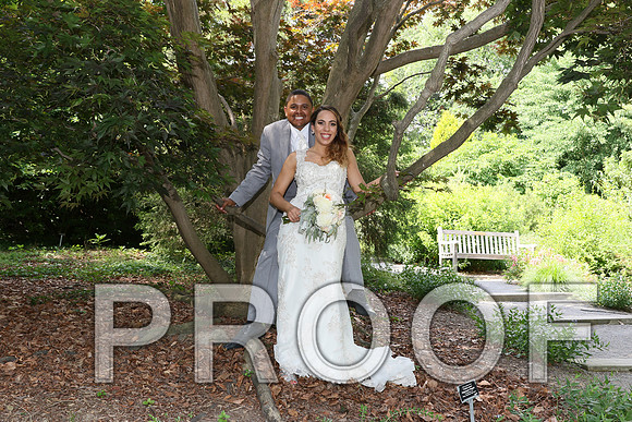 IF6A2311 / The Wedding - Bride & Groom with the Bridal Party