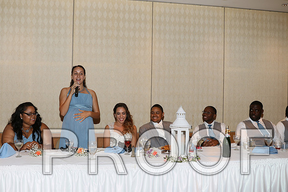 IF6A2621 / The Wedding - Toasts to the Bride and Groom