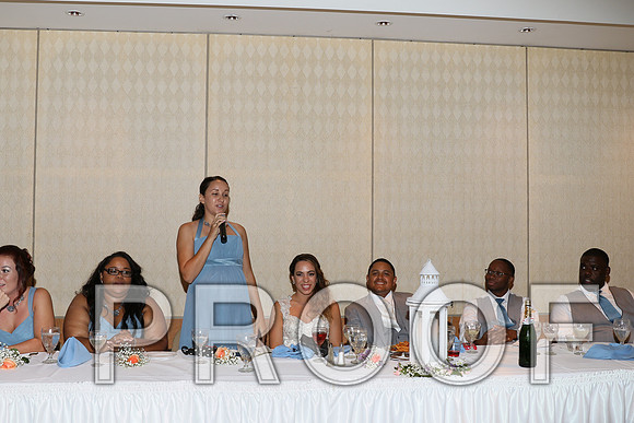 IF6A2632 / The Wedding - Toasts to the Bride and Groom