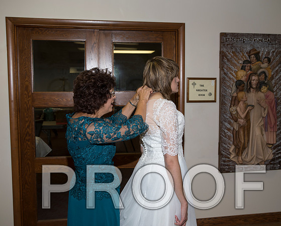8L2A0618 aaa Wedding  The Bride with family and the bridemaids