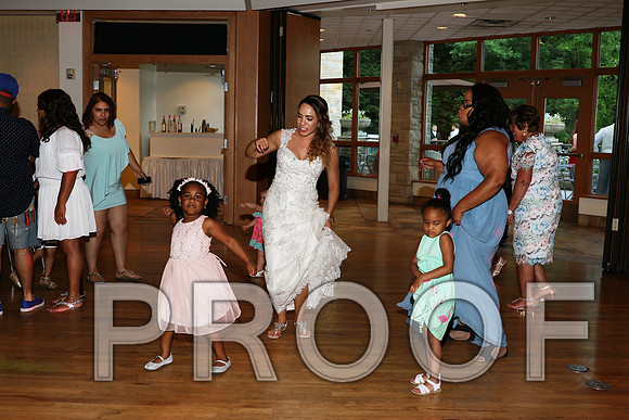 IF6A2805 / The Wedding Reception - Let the Party start