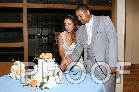 IF6A2578 / The Wedding - Cutting the Cake