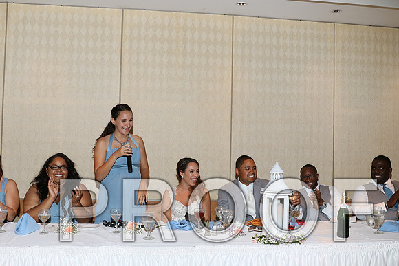 IF6A2627 / The Wedding - Toasts to the Bride and Groom
