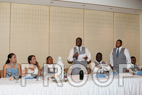 IF6A2652 / The Wedding - Toasts to the Bride and Groom