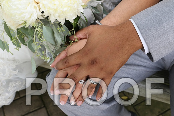 IF6A2053 / The Wedding - The Bride and Groom