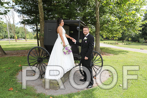 8L2A5865 Wedding - Bride and Groom with the Bridal Party
