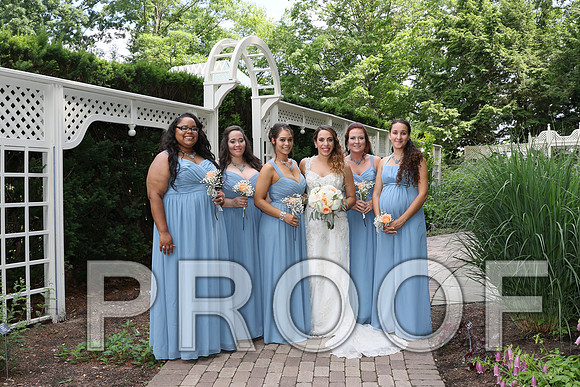 IF6A2208 / The Wedding - Bride & Groom with the Bridal Party