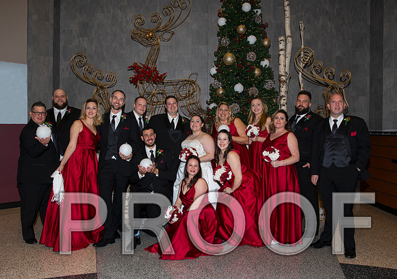 8L2A6123 aaa Wedding Photos - Bride & Groom with the bridal party