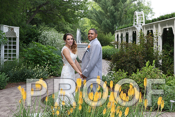 IF6A2080 / The Wedding - The Bride and Groom