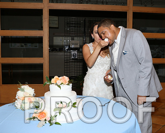 IF6A2605 / The Wedding - Cutting the Cake