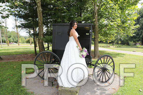 8L2A5861 Wedding - Bride and Groom with the Bridal Party