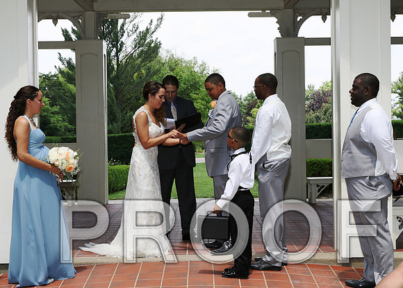 IF6A1875 / The wedding Ceremony