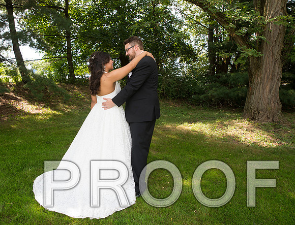 8L2A5903 aaa Wedding - Bride and Groom with the Bridal Party