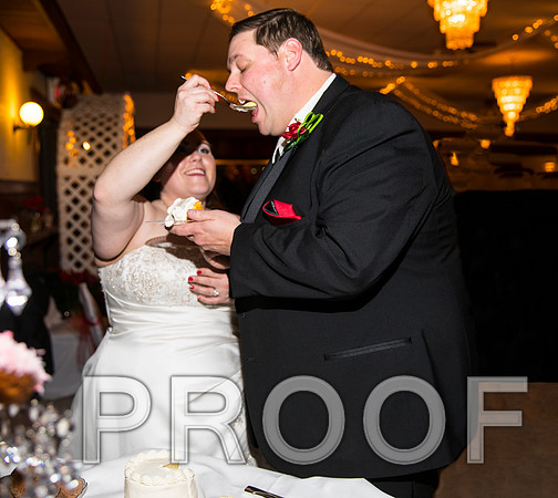 8L2A6407 aaa Wedding Photos - Cutting the cake