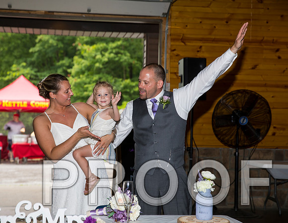 8L2A2619 aaa Wedding Reception