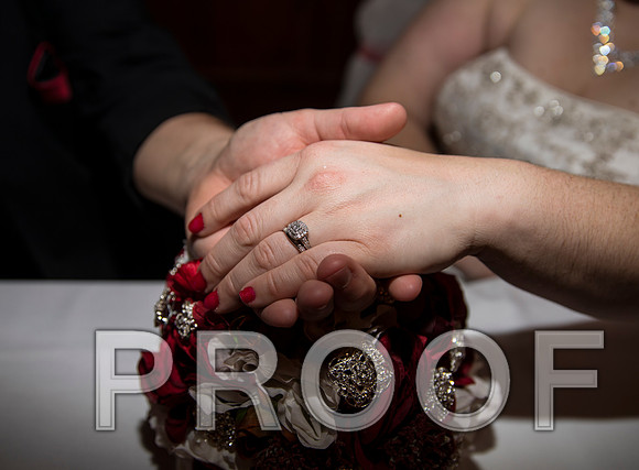 8L2A6452 aaa Wedding Photos - The Reception