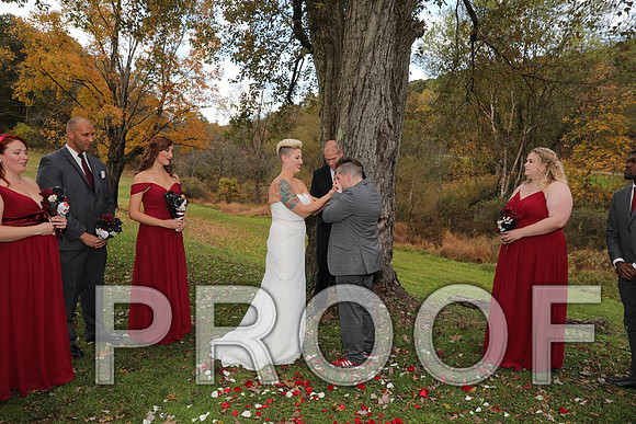 8L2A3315 Wedding Photos - The ceremony