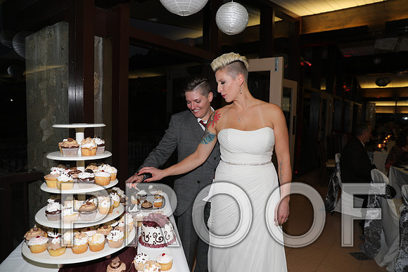 8L2A3673 Wedding Photos - Cutting the cake