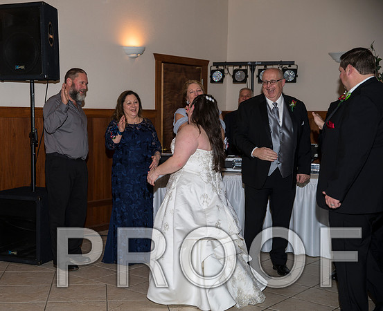8L2A6293 aaa Wedding Photos - The Reception