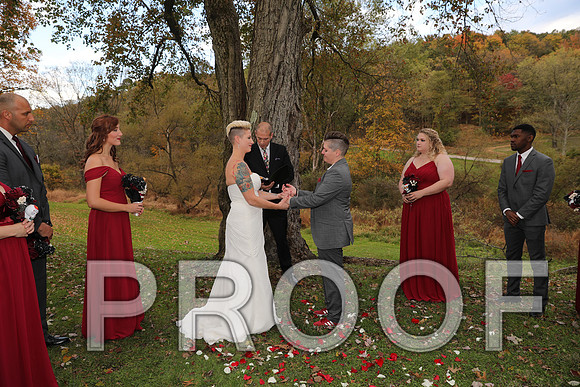 8L2A3326 Wedding Photos - The ceremony