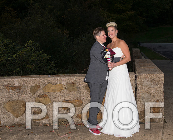 8L2A3590 aaa Wedding Photos - the bride and groom along with the bridal party