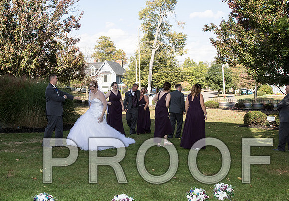 IF6A8267 aaa Wedding - Bride and groom with bridal party