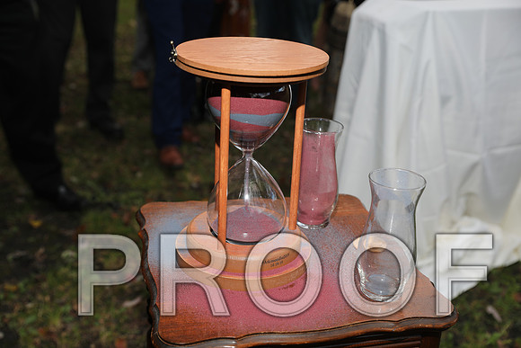8L2A3382 Wedding Photos - The ceremony