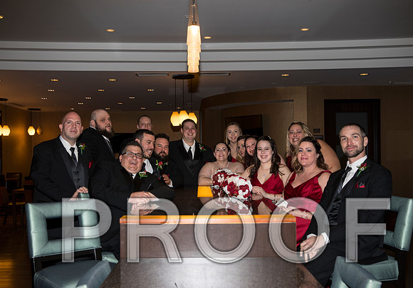8L2A6077 aaa Wedding Photos - Bride & Groom with the bridal party