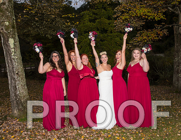 8L2A3531 AAA Wedding Photos - the bride and groom along with the bridal party