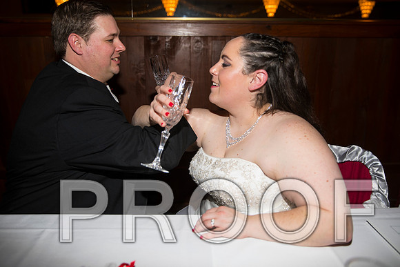 8L2A6438 aaa Wedding Photos - The Reception