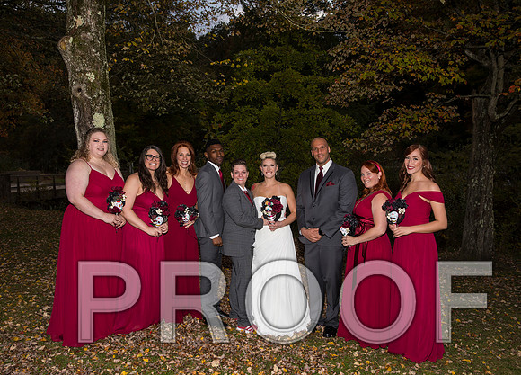 8L2A3515 aaa Wedding Photos - the bride and groom along with the bridal party