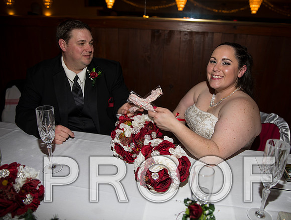8L2A6455 aaa Wedding Photos - The Reception