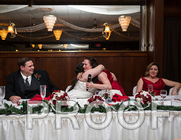 8L2A6379 aaa Wedding Photos - Toasts to the Bride & Groom