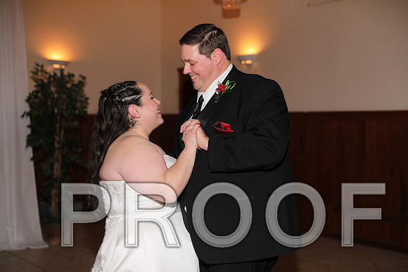 8L2A6345 Wedding Photos - The first dance
