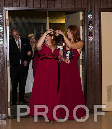 8L2A3628 aaa Wedding Photos - Welcome to the reception