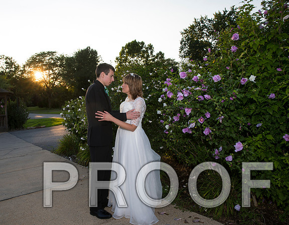 8L2A1522 aaa Wedding Sunset Photos