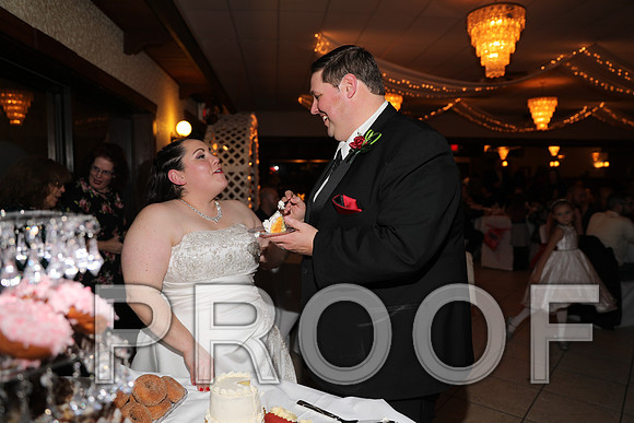 8L2A6419 Wedding Photos - Cutting the cake