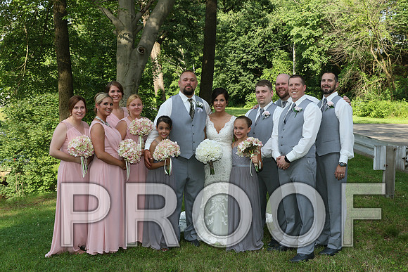 IF6A5617 Wedding - Bride and Groom with the bridal party