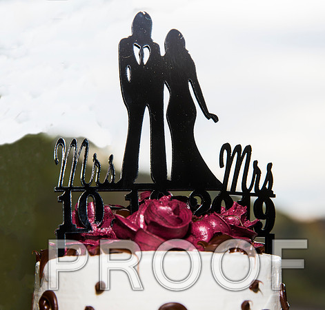 8L2A3233 aaa Wedding Photos - The bride with family and bridesmaids