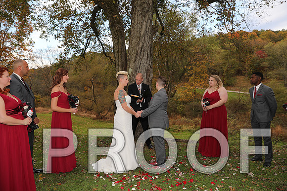 8L2A3357 Wedding Photos - The ceremony