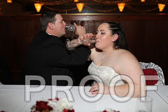 8L2A6440 Wedding Photos - The Reception