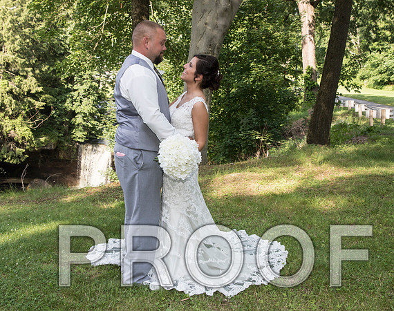 IF6A5584 aaa Wedding - Bride and Groom with the bridal party