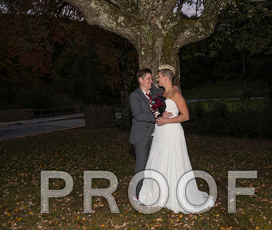 8L2A3580 aaa Wedding Photos - the bride and groom along with the bridal party