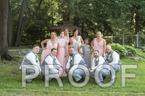 IF6A5647 aaa Wedding - Bride and Groom with the bridal party