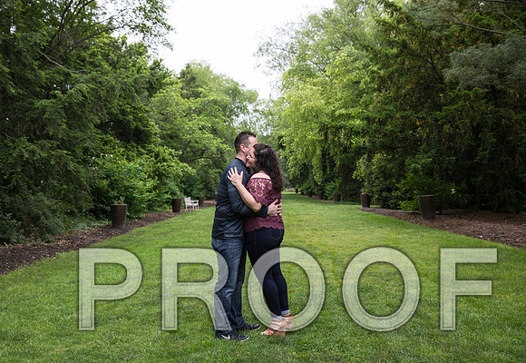 8L2A9286 aaa Engagement Session