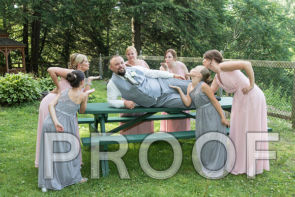 IF6A5658 aaa Wedding - Bride and Groom with the bridal party