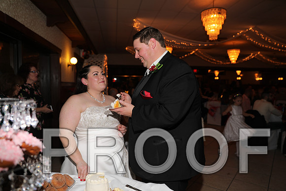 8L2A6417 Wedding Photos - Cutting the cake